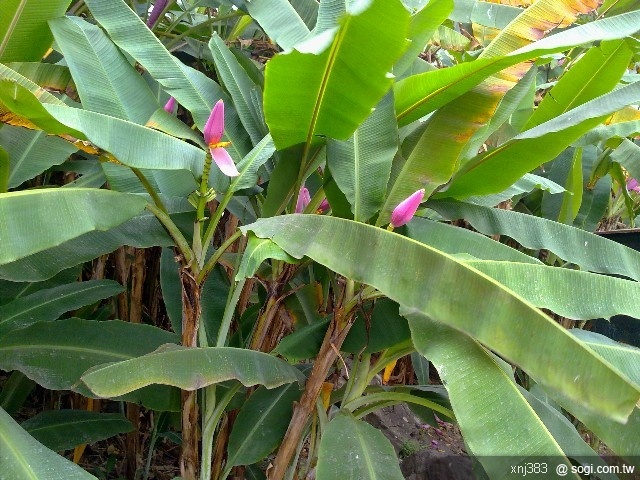 本文章相關圖片