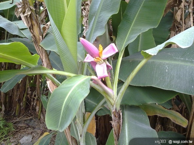 本文章相關圖片