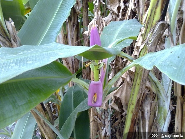 本文章相關圖片
