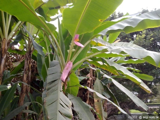 本文章相關圖片