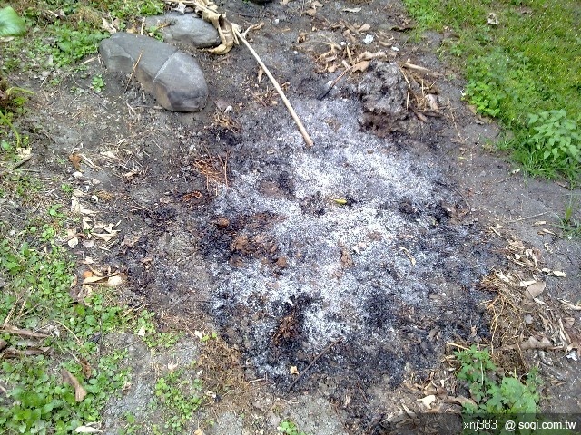 本文章相關圖片