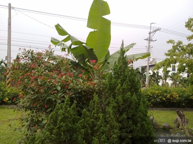 本文章相關圖片