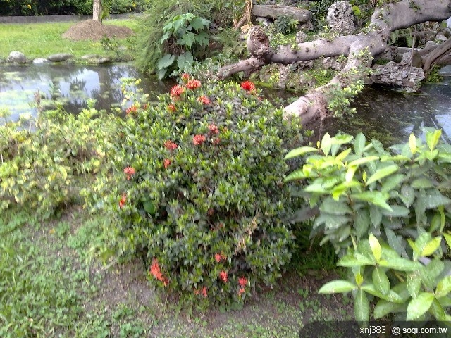 本文章相關圖片