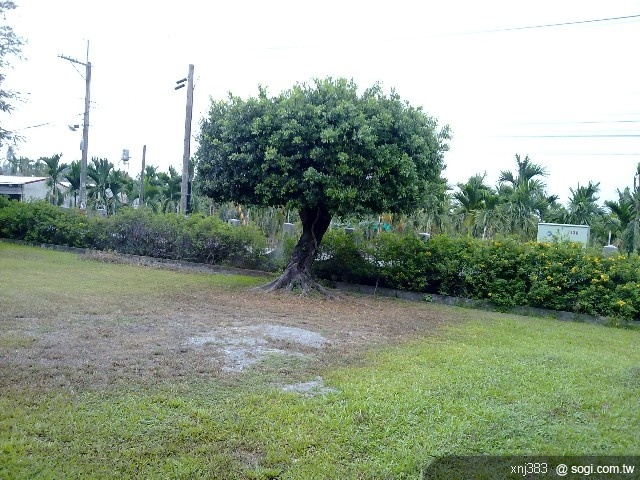 本文章相關圖片