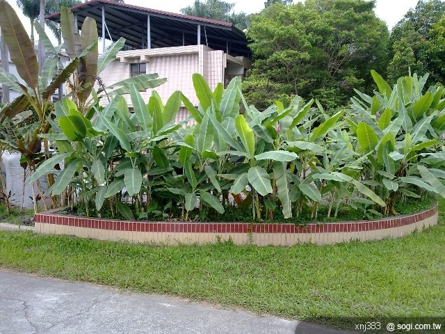 本文章相關圖片