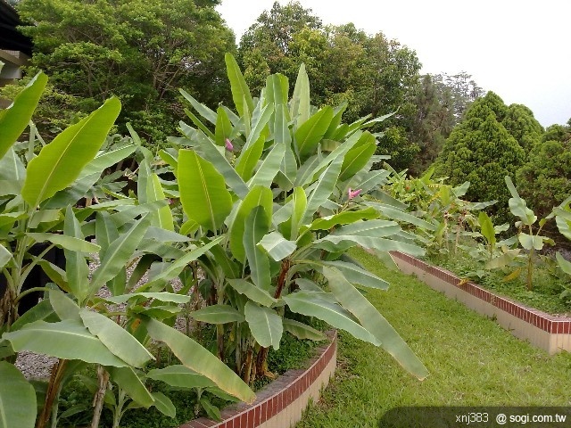 本文章相關圖片