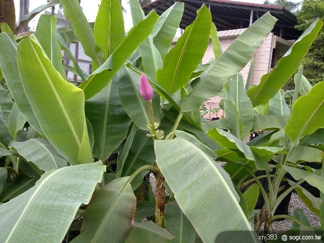 本文章相關圖片