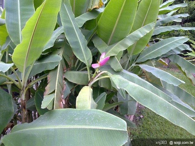 本文章相關圖片