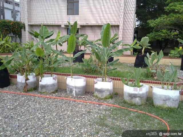 本文章相關圖片