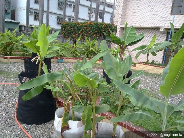 本文章相關圖片