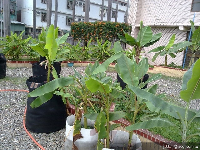 本文章相關圖片