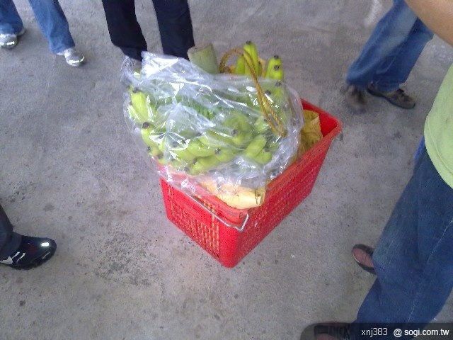 本文章相關圖片