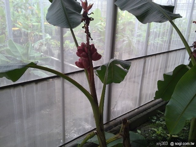 本文章相關圖片