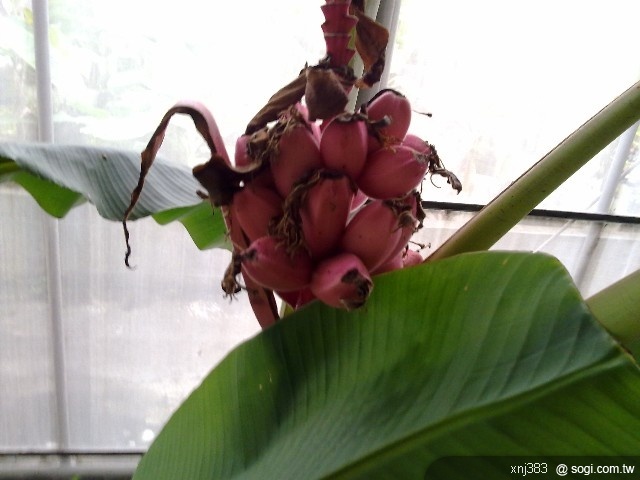 本文章相關圖片