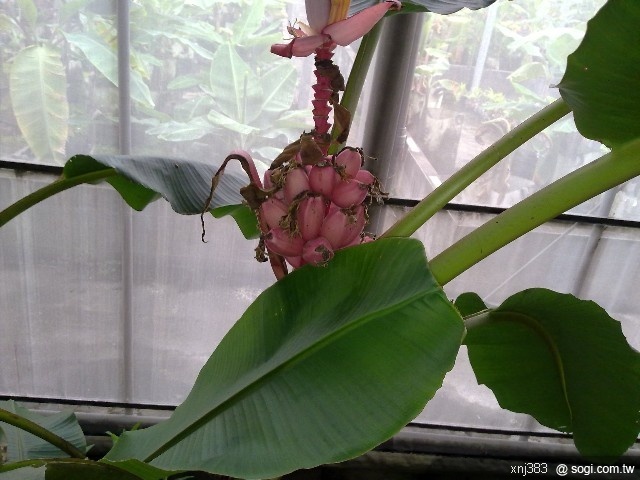 本文章相關圖片