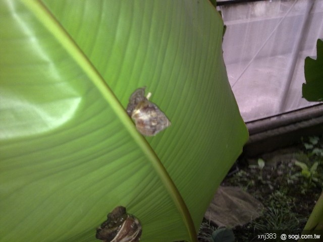 本文章相關圖片