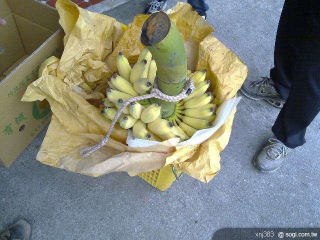 本文章相關圖片