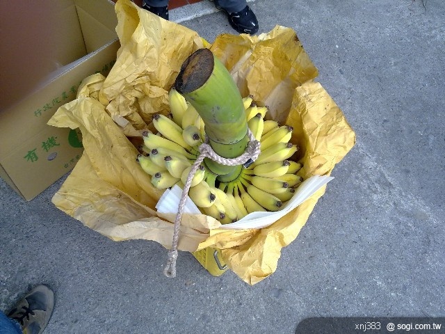 本文章相關圖片