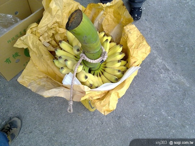 本文章相關圖片