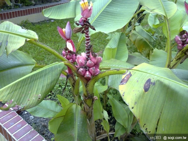 本文章相關圖片