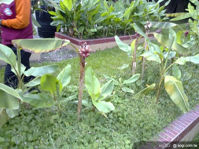 本文章相關圖片