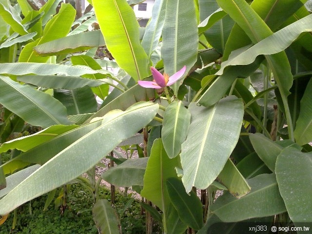 本文章相關圖片