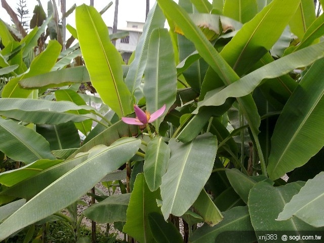 本文章相關圖片