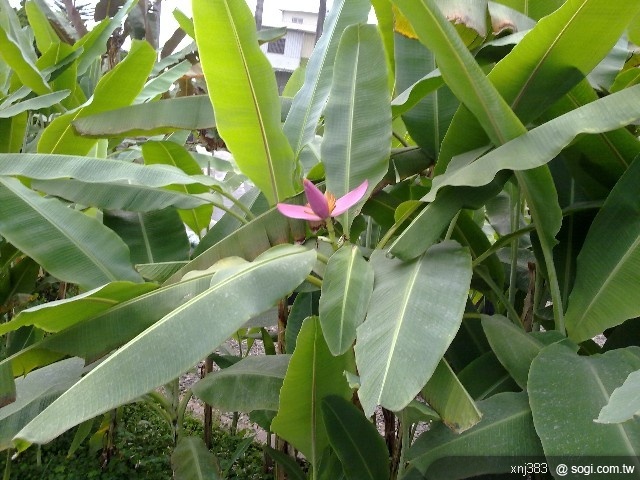 本文章相關圖片