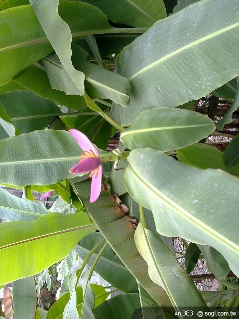 本文章相關圖片