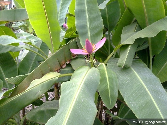 本文章相關圖片