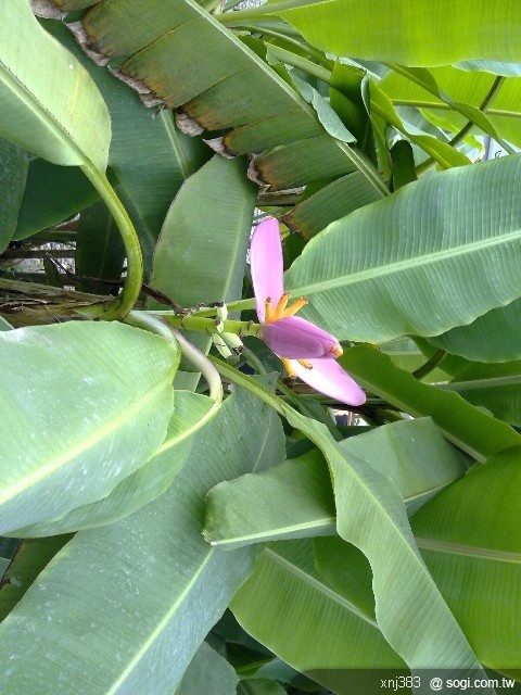 本文章相關圖片