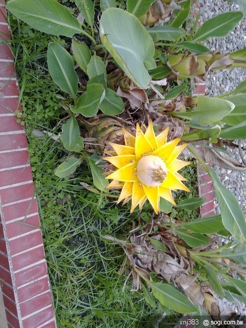 本文章相關圖片