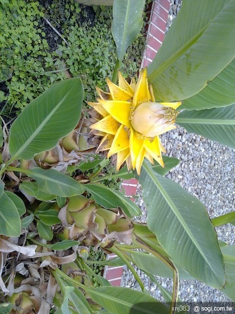 本文章相關圖片