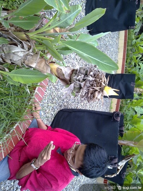 本文章相關圖片