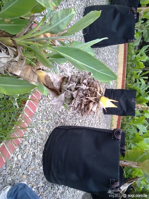 本文章相關圖片