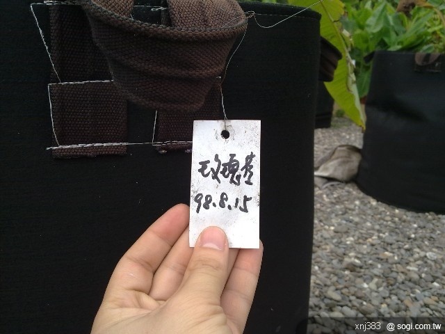 本文章相關圖片