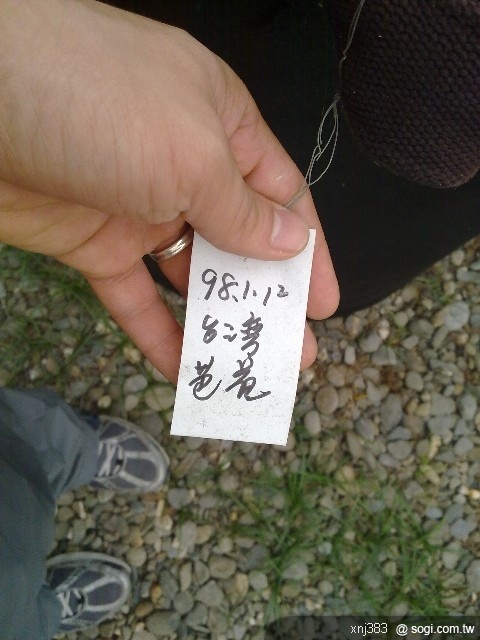 本文章相關圖片