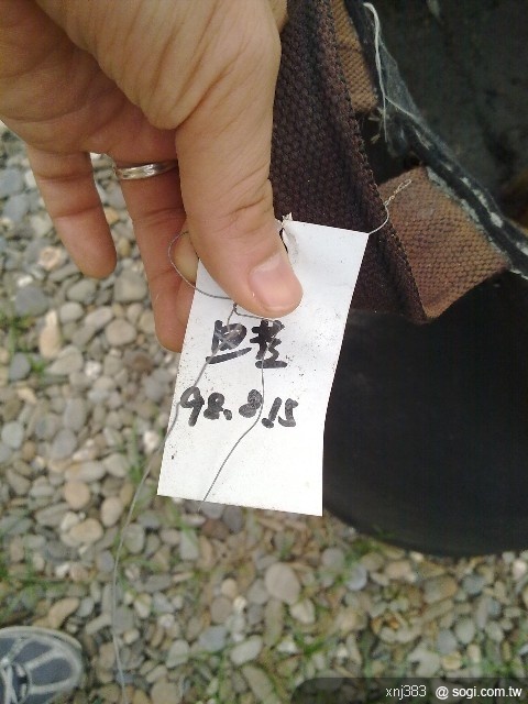 本文章相關圖片