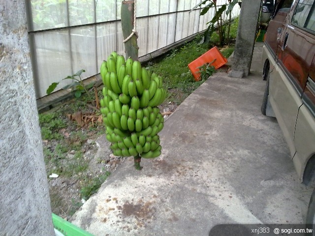 本文章相關圖片