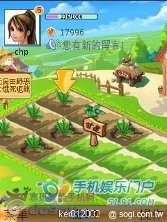 本文章相關圖片