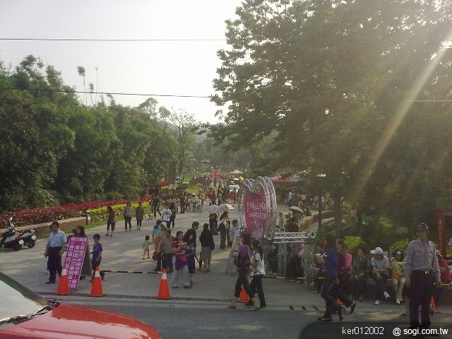 本文章相關圖片