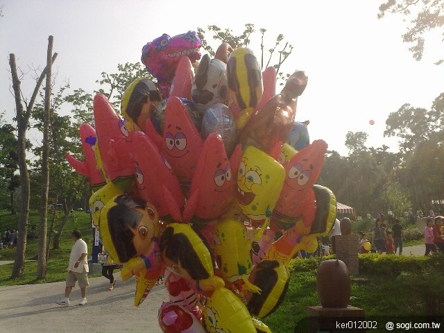 本文章相關圖片