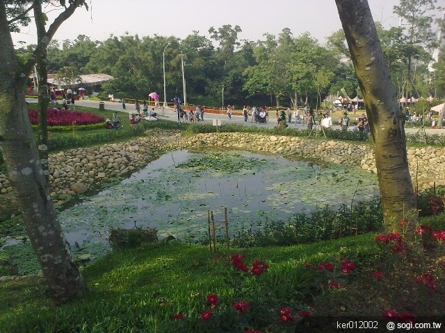 本文章相關圖片