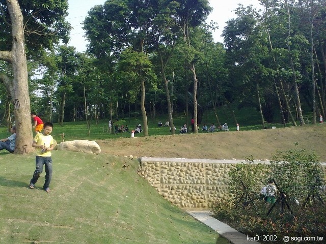 本文章相關圖片