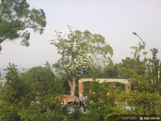 本文章相關圖片