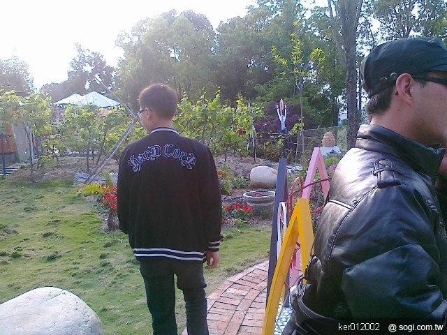 本文章相關圖片