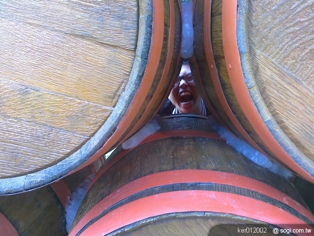 本文章相關圖片