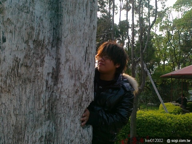 本文章相關圖片