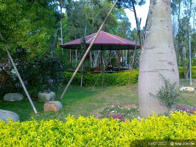 本文章相關圖片