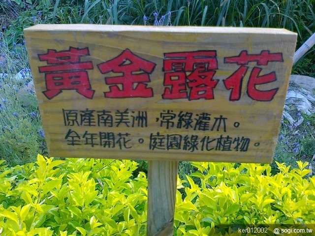 本文章相關圖片